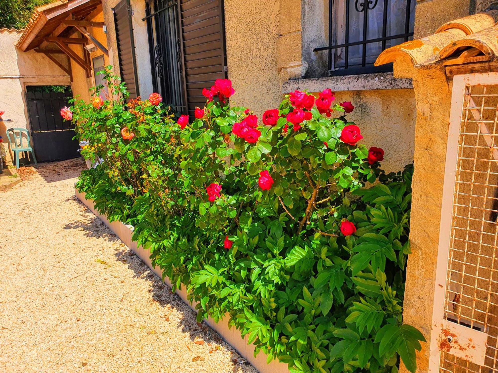 Cadre D'Exception Apartment Orange  Bagian luar foto